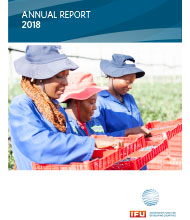 IFU Annual Report 2018